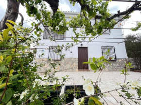 El Olivar de la Solana Castril